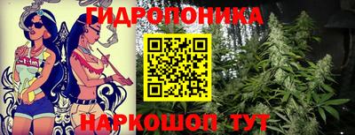 мдпв Лесосибирск