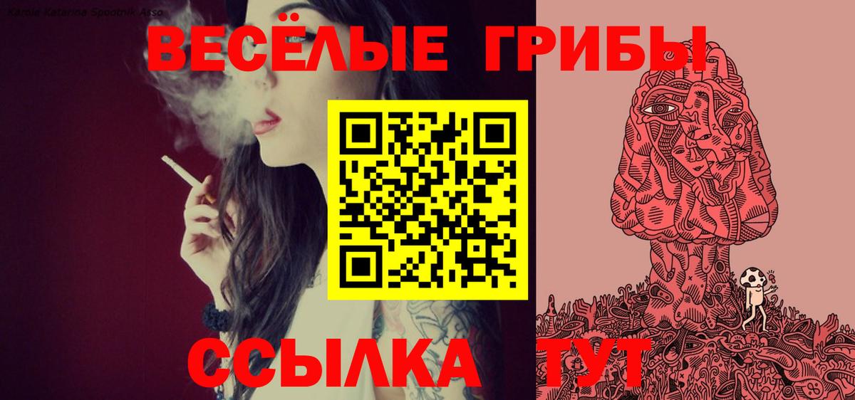 Псилоцибиновые грибы Magic Shrooms Янаул